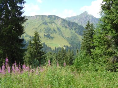 Tussen Col de Coux en Col de la Gol�se Tussen Col de Coux en Col de la Gol�se