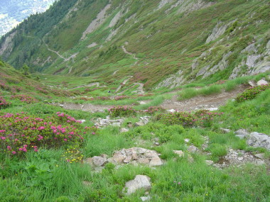 Afdaling vanaf refuge naar Les Houches Afdaling vanaf refuge naar Les Houches