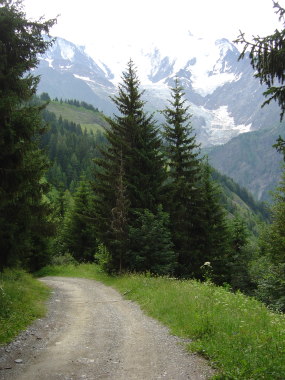 Bosweg met zicht op de Mont Blanc Bosweg met zicht op de Mont Blanc