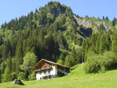 Chalet du Nant-Borrant met omgeving