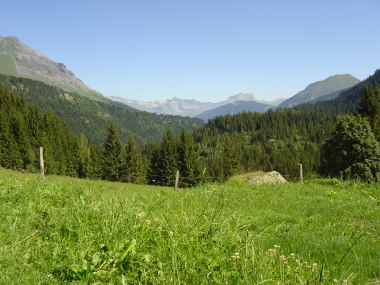 Uitzicht van nabij Chalet du Nant-Borrant