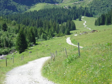 Slingerend wandelpad door de velden richting La Balme