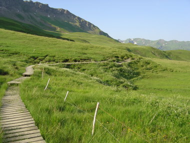 Plankenpad nabij la Petite Berge Plankenpad nabij la Petite Berge