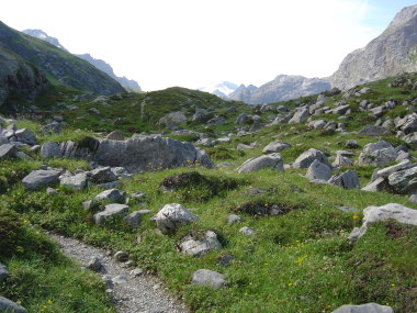 Wandelpad nabij Chalets de la Plagne Wandelpad nabij Chalets de la Plagne