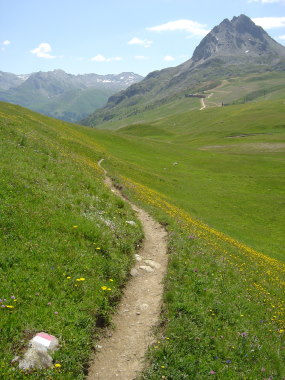 Pad door de Vallon de la Tovi�re Pad door de Vallon de la Tovi�re