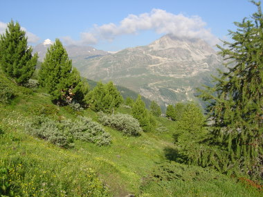 Omgeving Val d'Is�re Omgeving Val d'Is�re