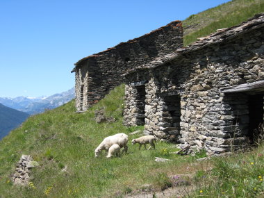 Chalets du Mollard